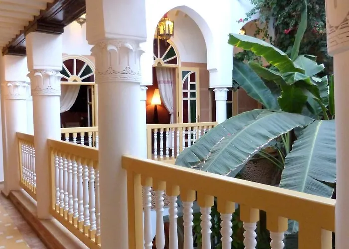 Riad Habib